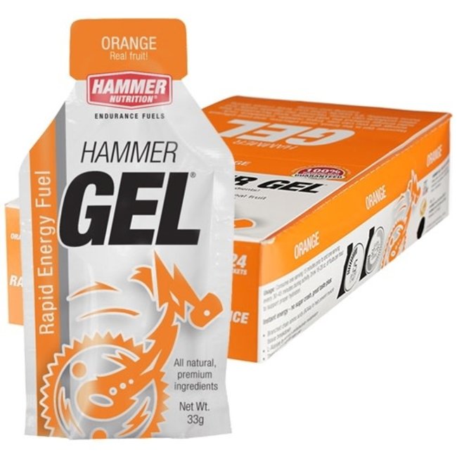 Hammer Gel Var Sabores Paq 24
