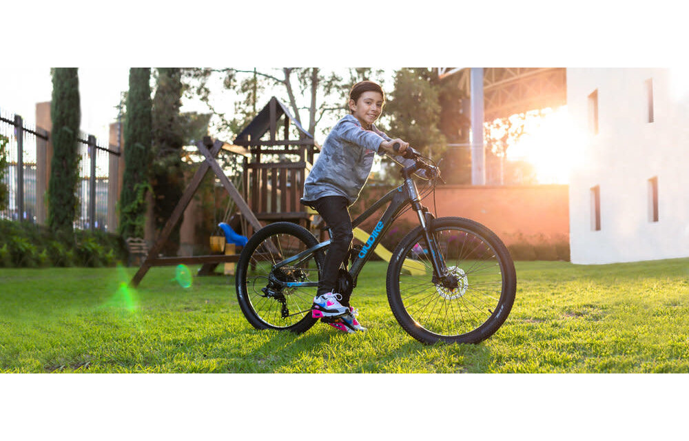 Alubike MTB DragonFly R24