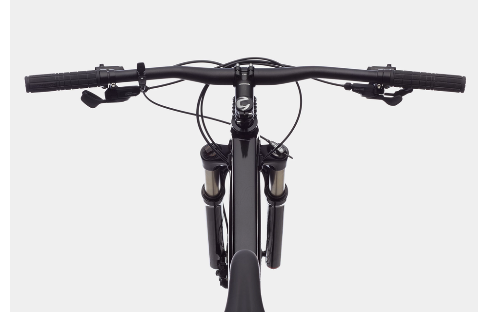 Cannondale Trail SL 4 Grey