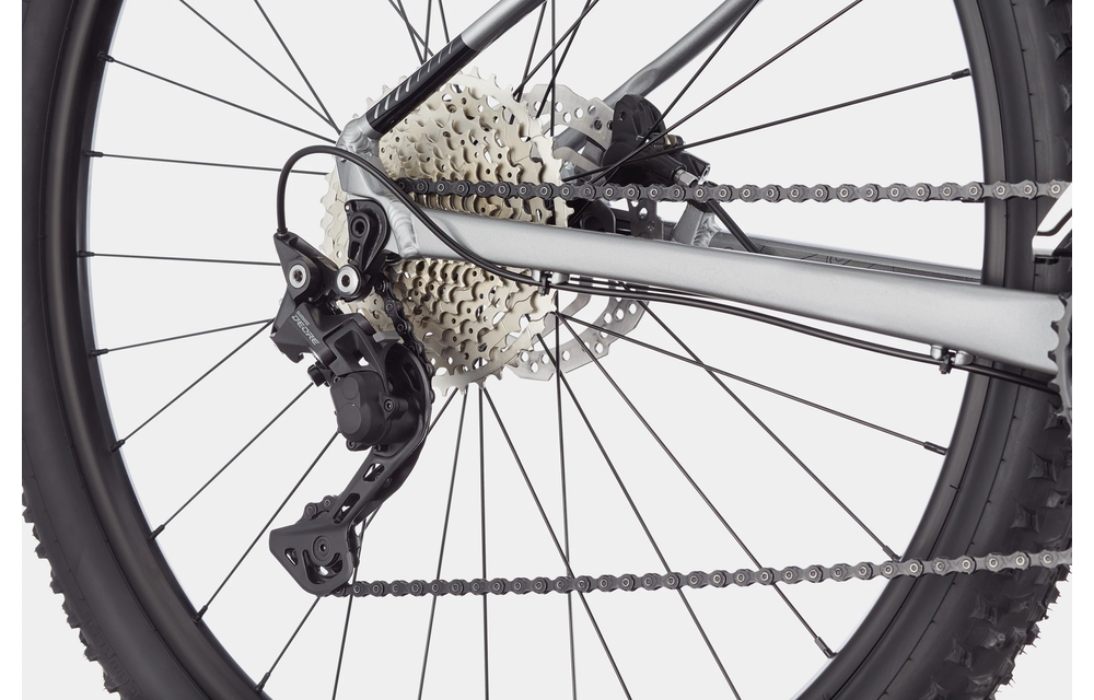 Cannondale Trail SL 4 Grey