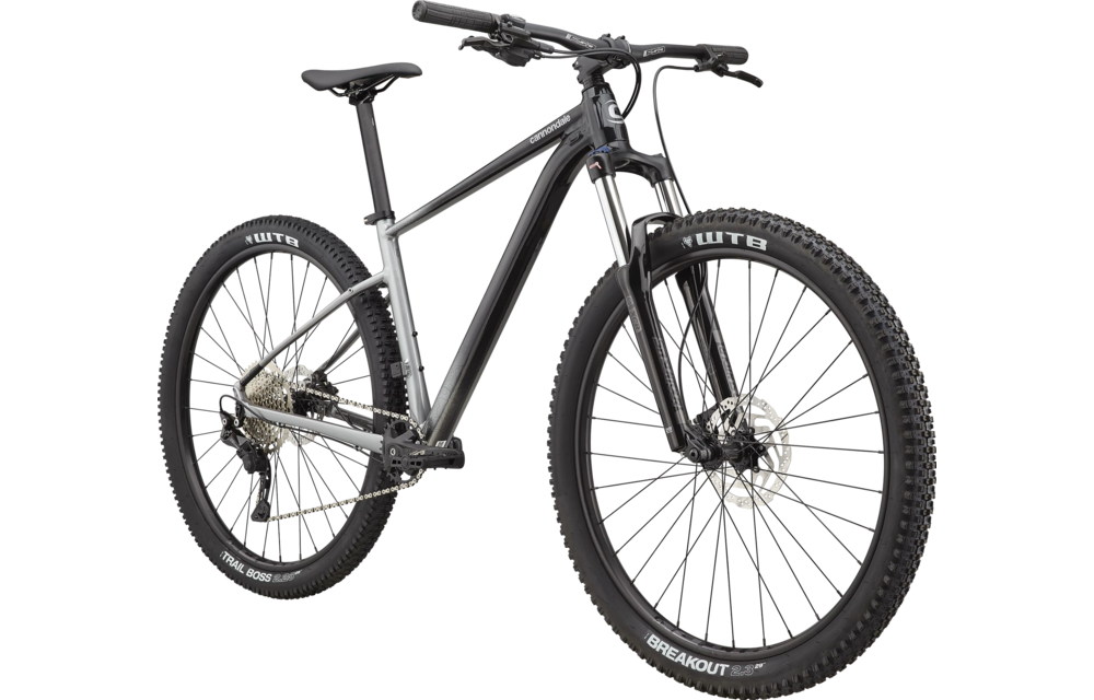Cannondale Trail SE 4 Grey