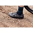 Shimano Zapato MTB SH-XC300