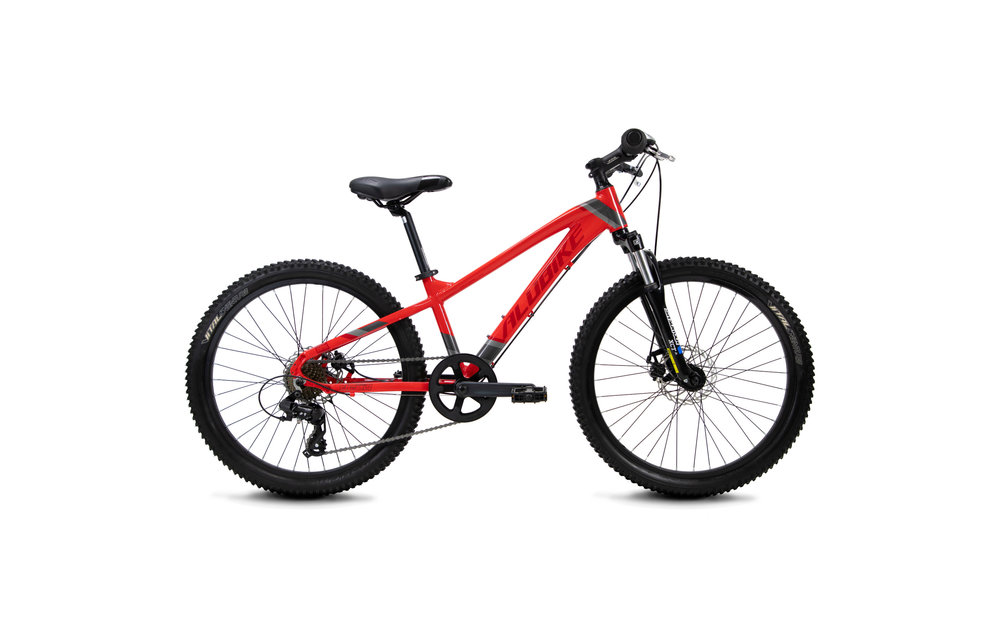 Alubike MTB DragonFly R24