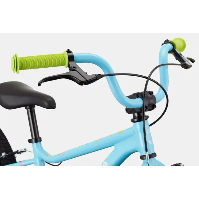 Bicicleta Cannondale Kids 20 Trail Single Speed Azul