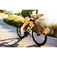 Bicicleta Cervelo P-Serie Ultegra Di2