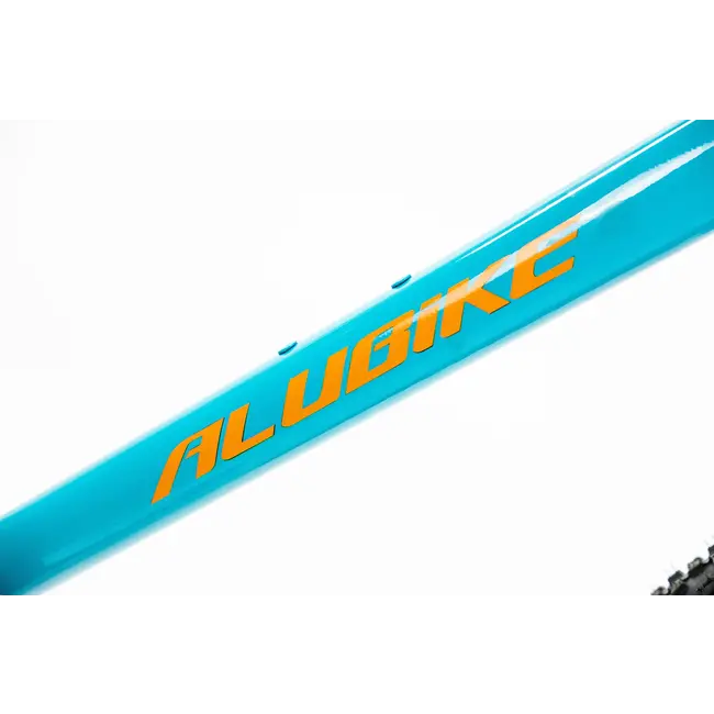 Bicicleta Alubike XTA 1.0  Cues 1x10 Aqua
