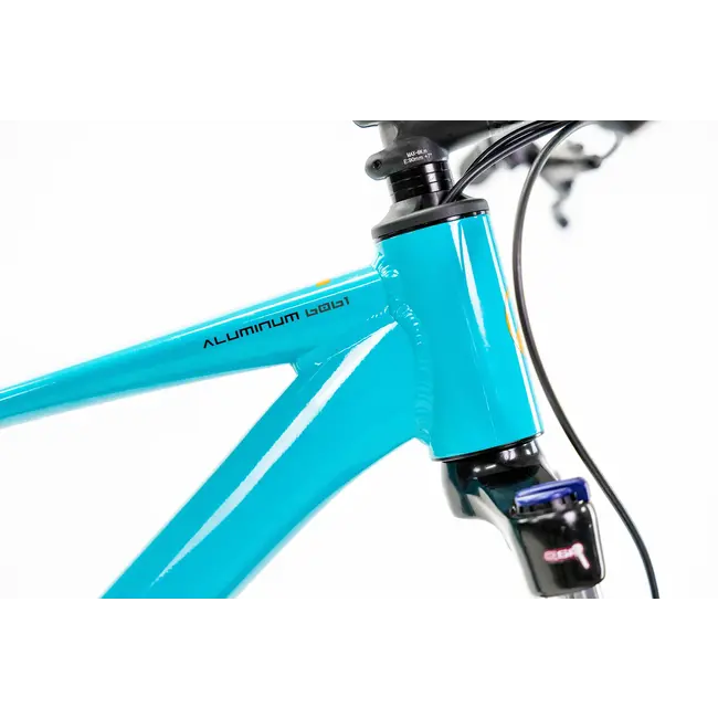 Bicicleta Alubike XTA 1.0  Cues 1x10 Aqua