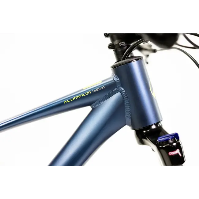 Bicicleta Alubike XTA 2.0 Cues 1x11 Azul