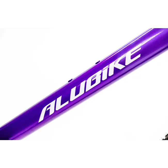 Bicicleta Alubike XTA 2.0 Cues 1x11 Purpura
