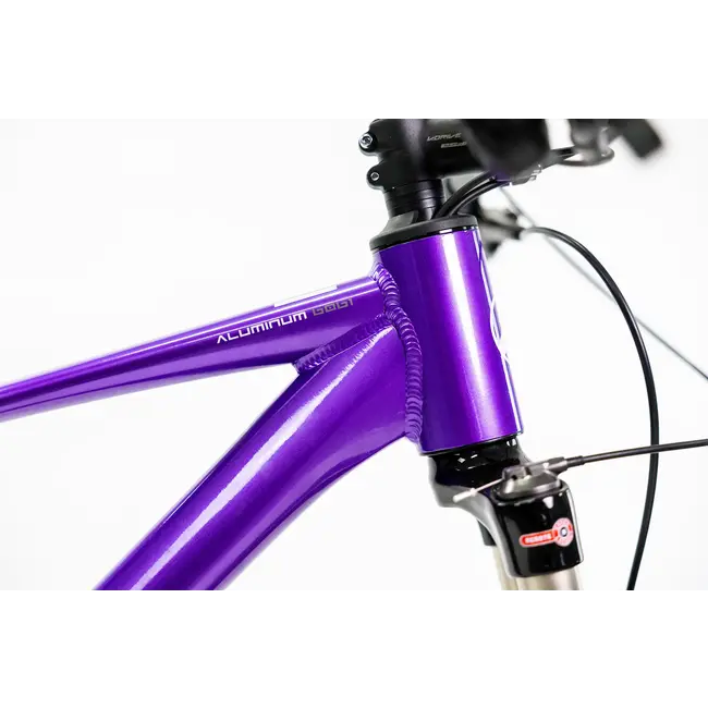 Bicicleta Alubike XTA 2.0 Cues 1x11 Purpura