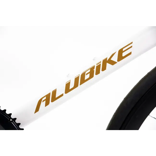 Bicicleta Alubike Onix
