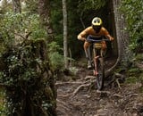 Cómo Elegir las Mejores Llantas para MTB: Guía con Tecnología Continental