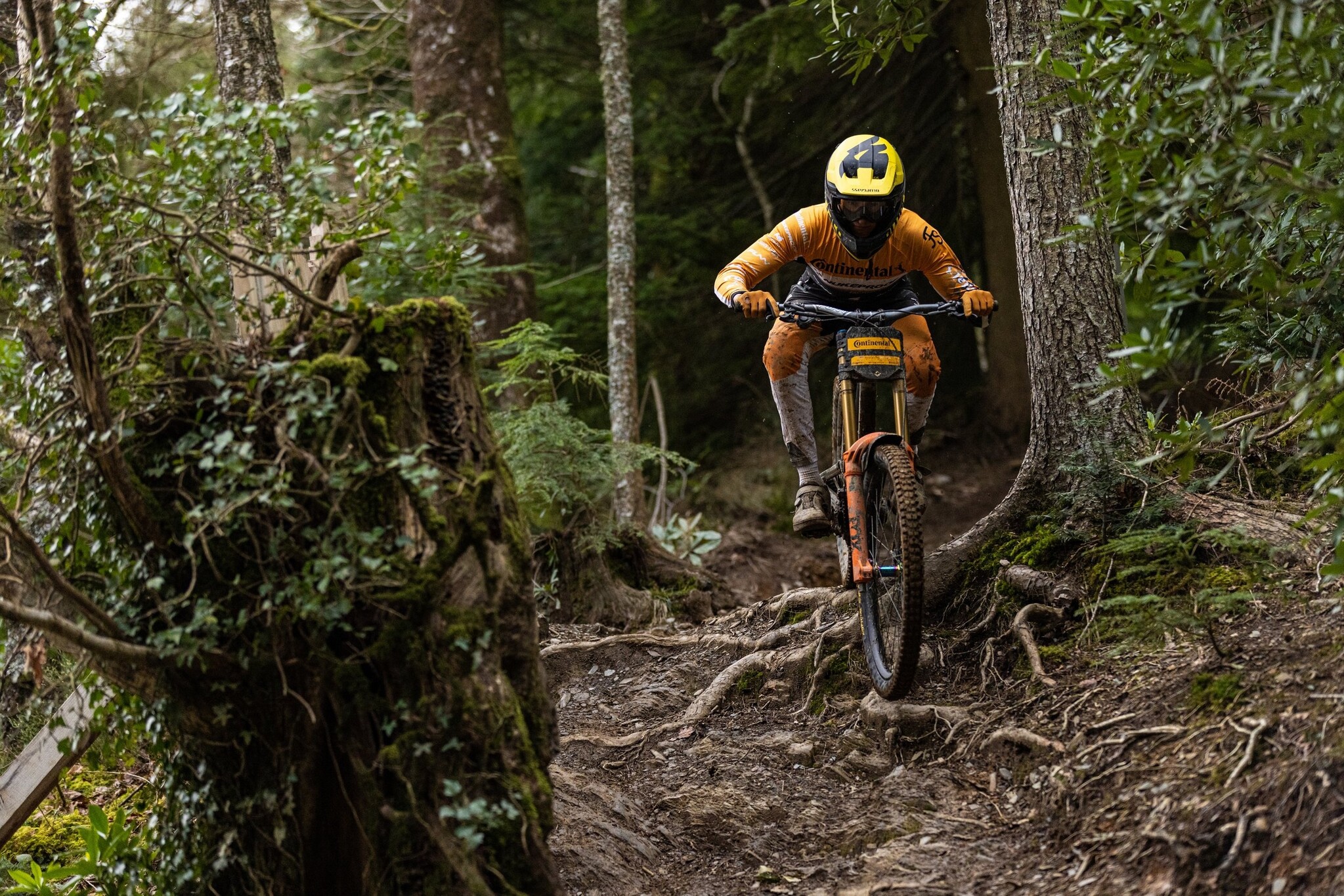 Cómo Elegir las Mejores Llantas para MTB: Guía con Tecnología Continental