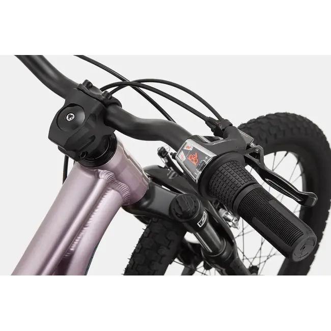 Bicicleta Cannondale Kids 20 Trail Lavander