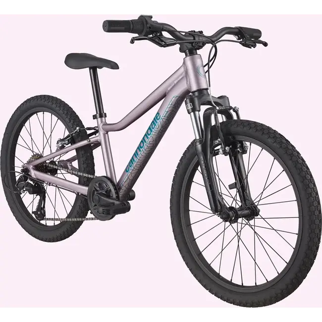 Bicicleta Cannondale Kids 20 Trail Lavander