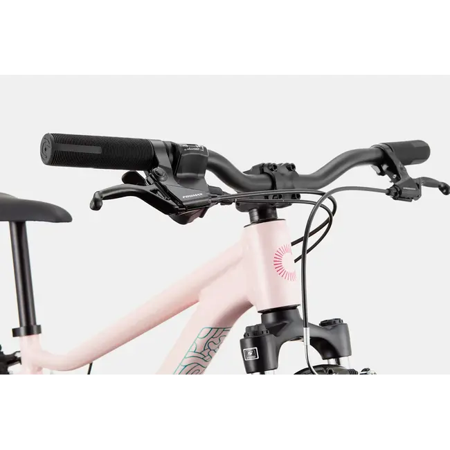 Bicicleta Cannondale Kids 24 Trail Destiny Pink