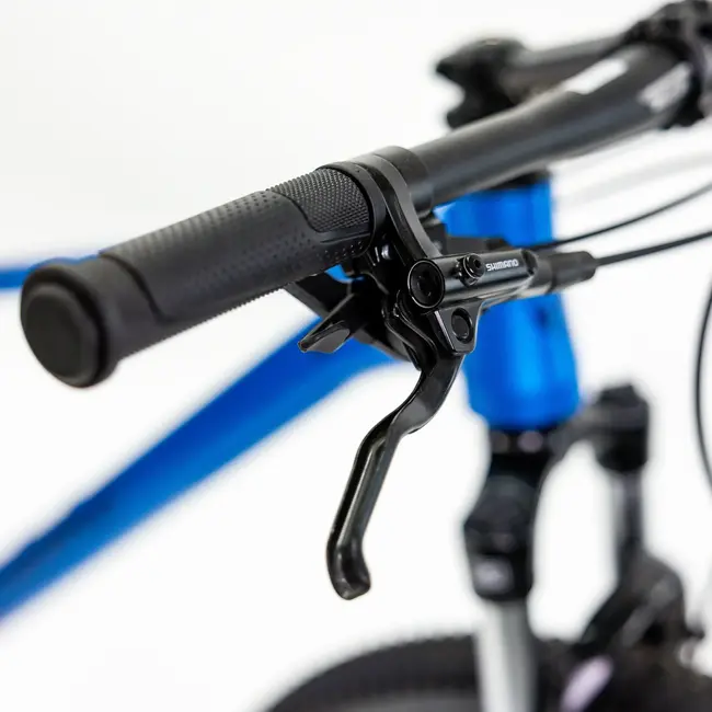 Bicicleta Alubike Sierra 29er Azul