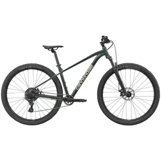 Cannondale Bicicleta Cannondale Trail 3 Gunmetal Green