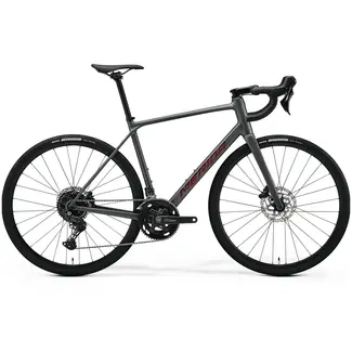Merida Merida Scultura 300 Endurance Gris Rojo