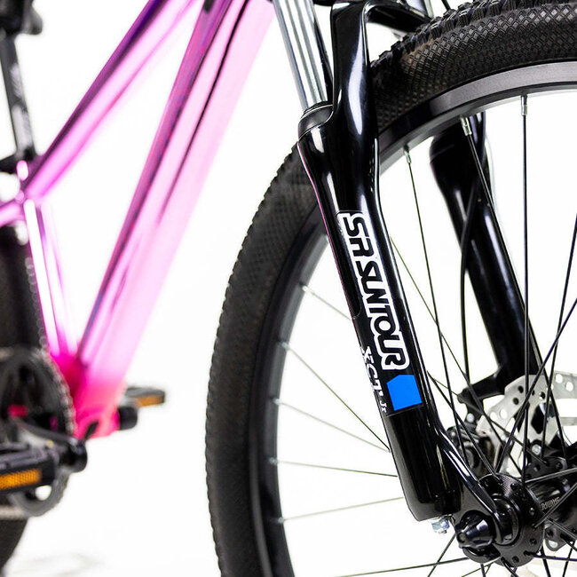 Bicicleta Alubike Sierra 24er