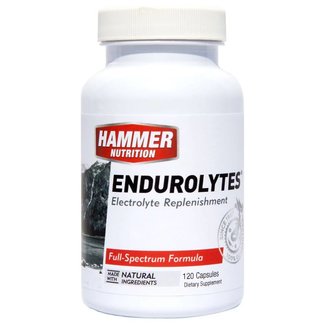Hammer Nutrition Hammer Endurolytes (120 caps)