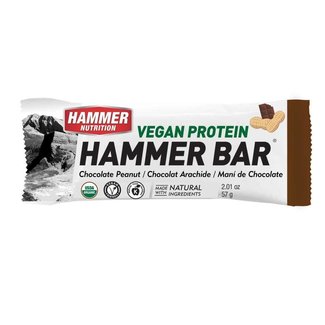 Hammer Nutrition Hammer Vegan Protein Bar Var Sab Paq 12