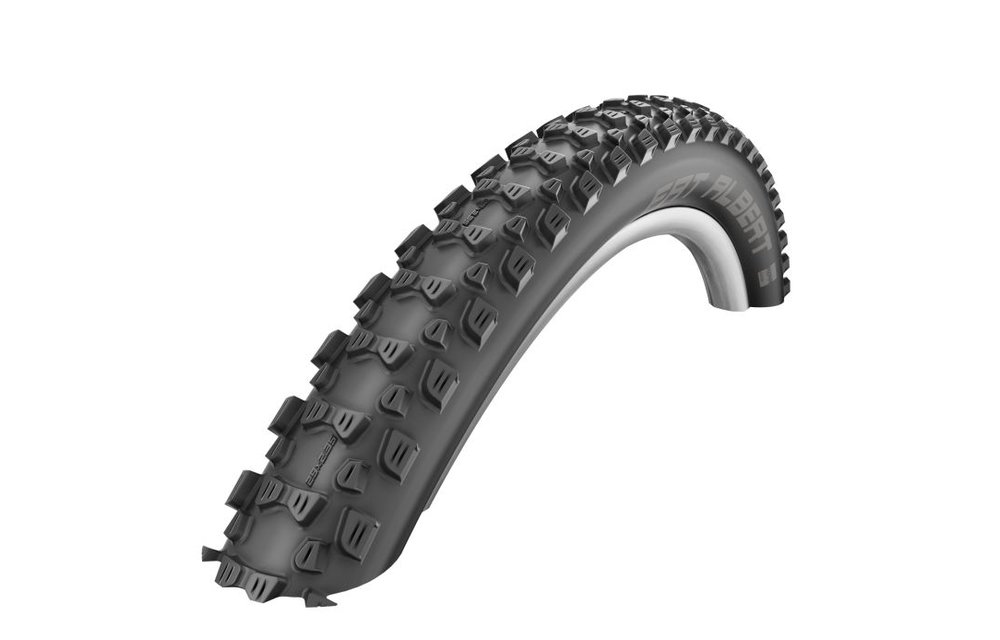 Schwalbe ALBERT SnakeSkin TL-Easy