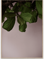 Green Leaves - 50cmx70cm