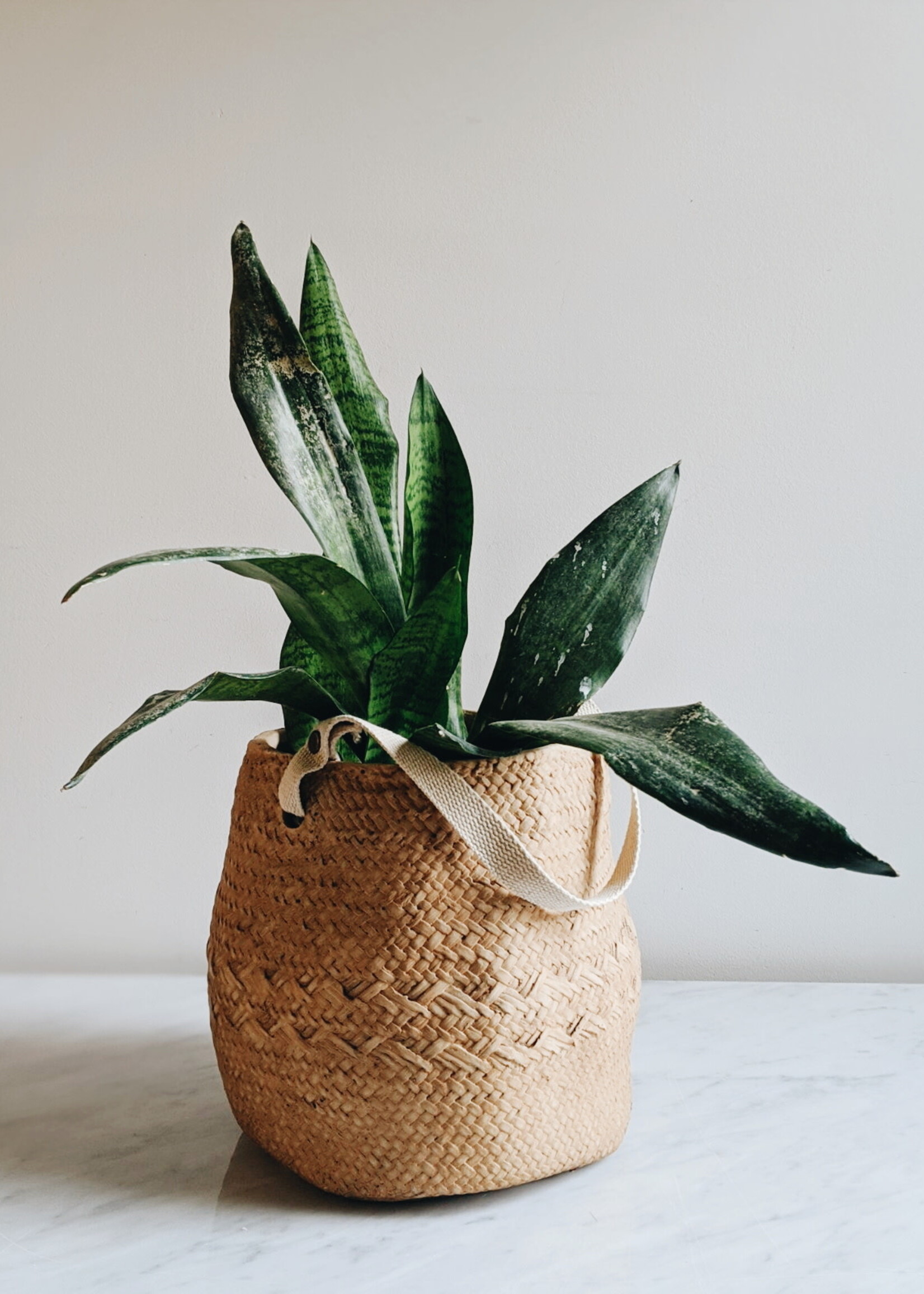 Cement Pot With Cotton Handle