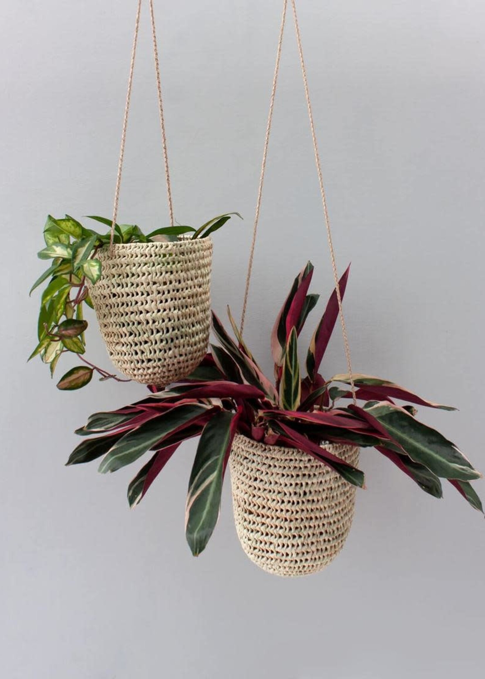 Open Weave Dome Hanging Basket