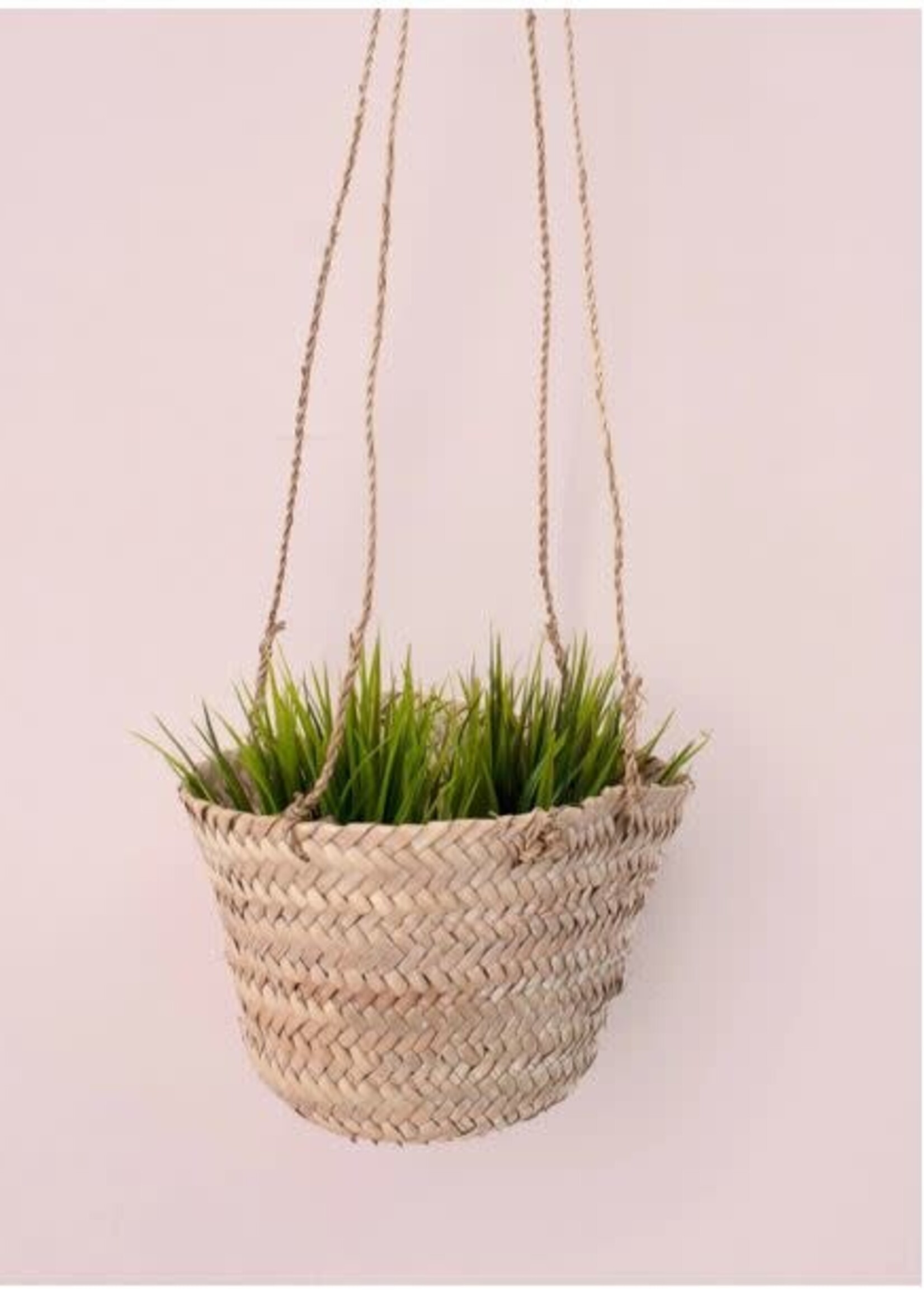 Hanging Baskets Mini