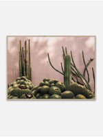 Affiche Plants on Pink - 50cmx70cm