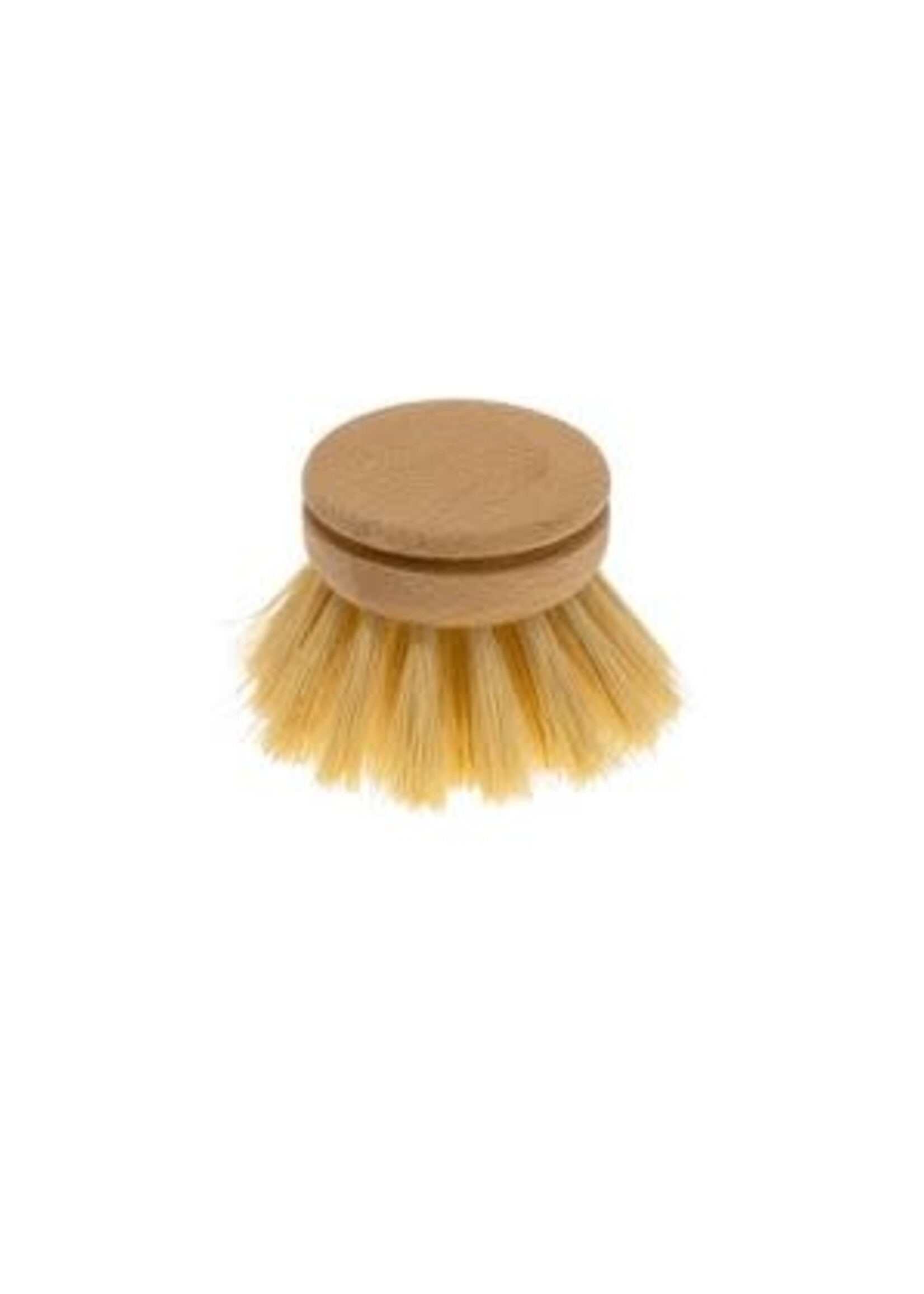 Dishbrush Everyday Refill - Tampico Fibre