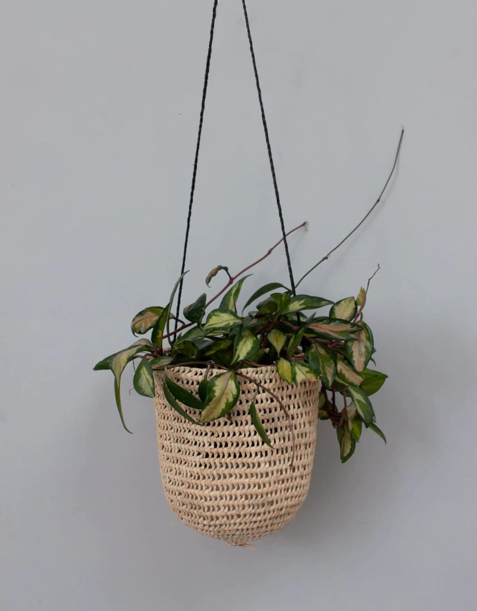 Open Weave Dome Hanging Basket, Black - Large