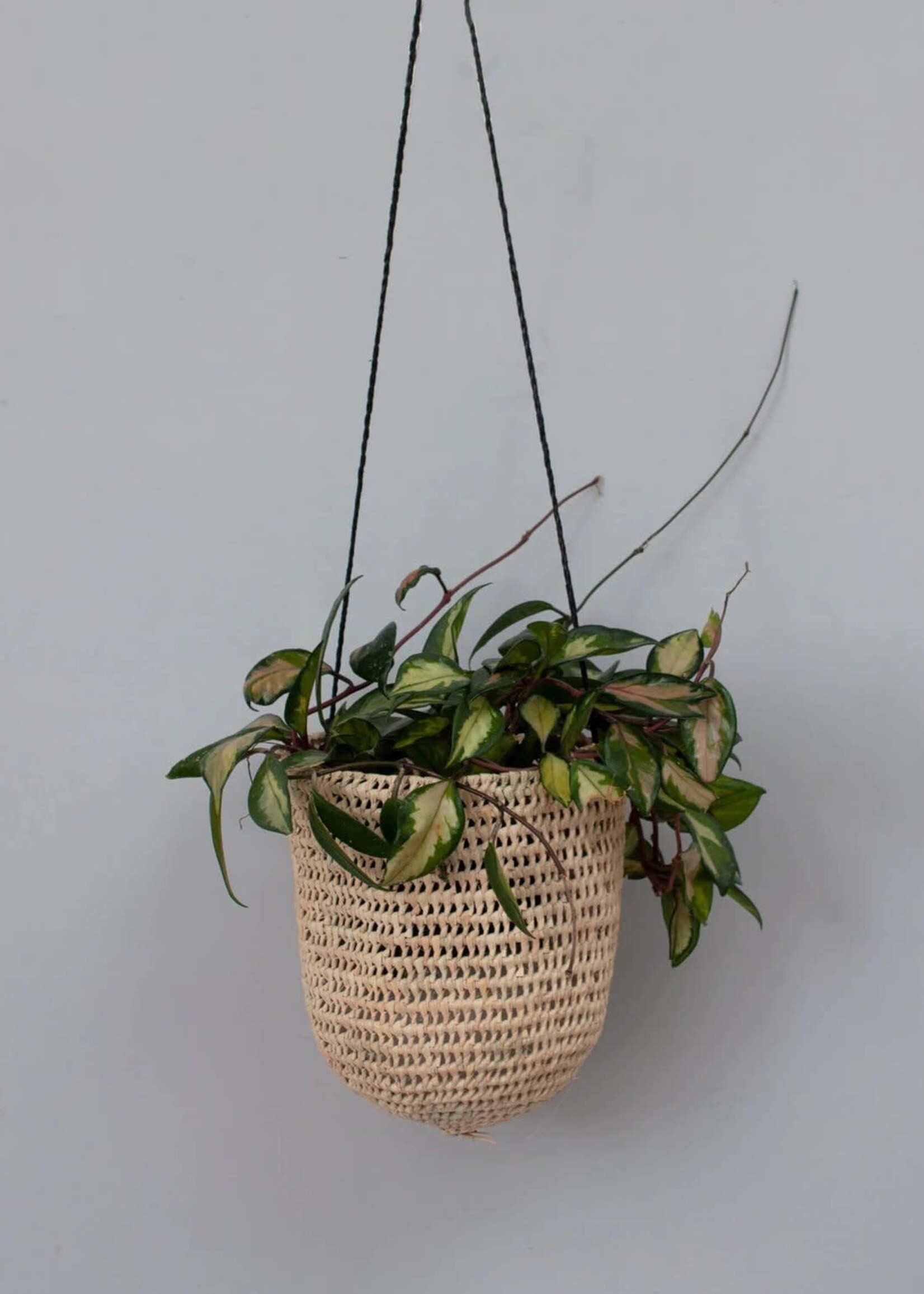 Open Weave Dome Hanging Basket, Black - Large