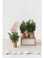 Faux Pine Tree Place Card