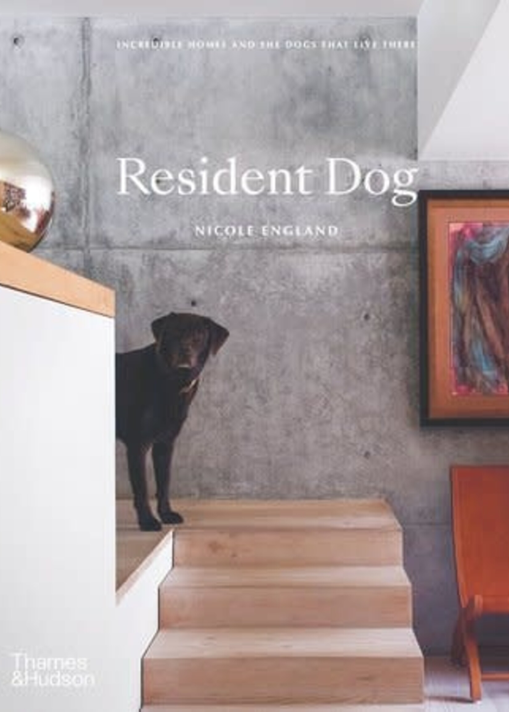 Resident Dog: Incredible Homes And The Dogs That Live There
