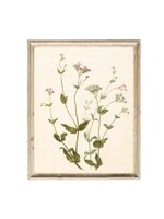 Wildflower Vintage Print