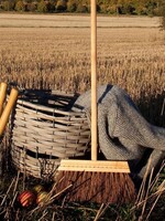 Broom with Long Handle