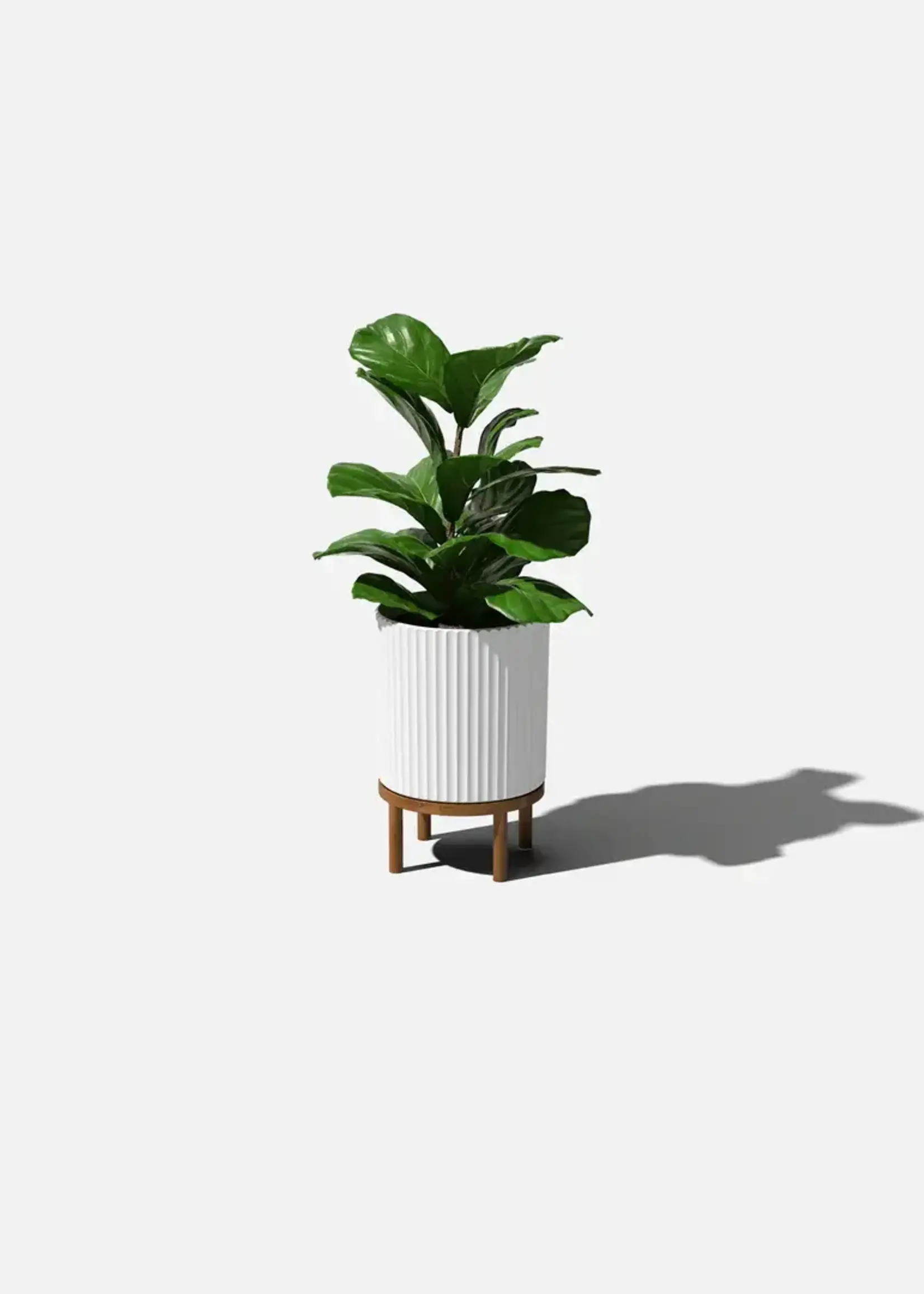Veradek Mason Demi Planter With Stand (Choisir modèle)