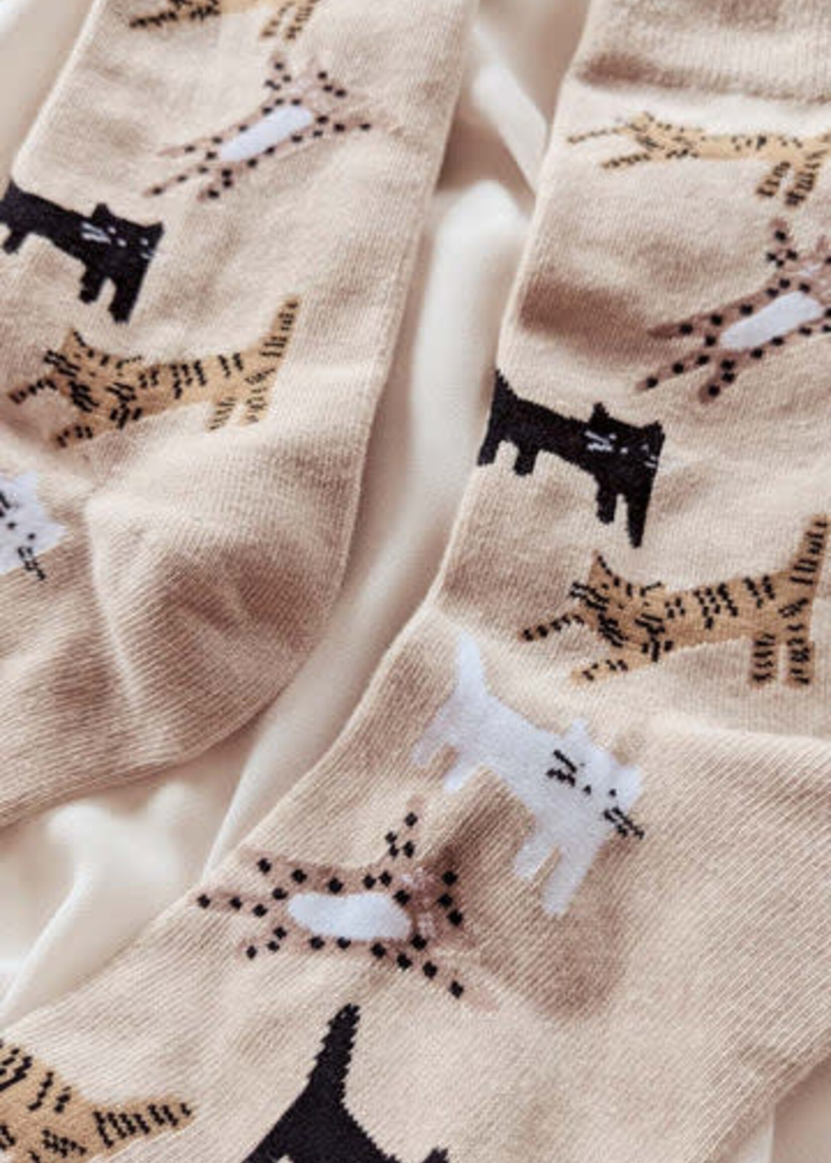 Mimi & August Chaussettes Chatons