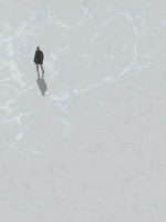 Geneviève Jobin La Glace