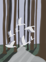 Geneviève Jobin Birds Flying In The Forest