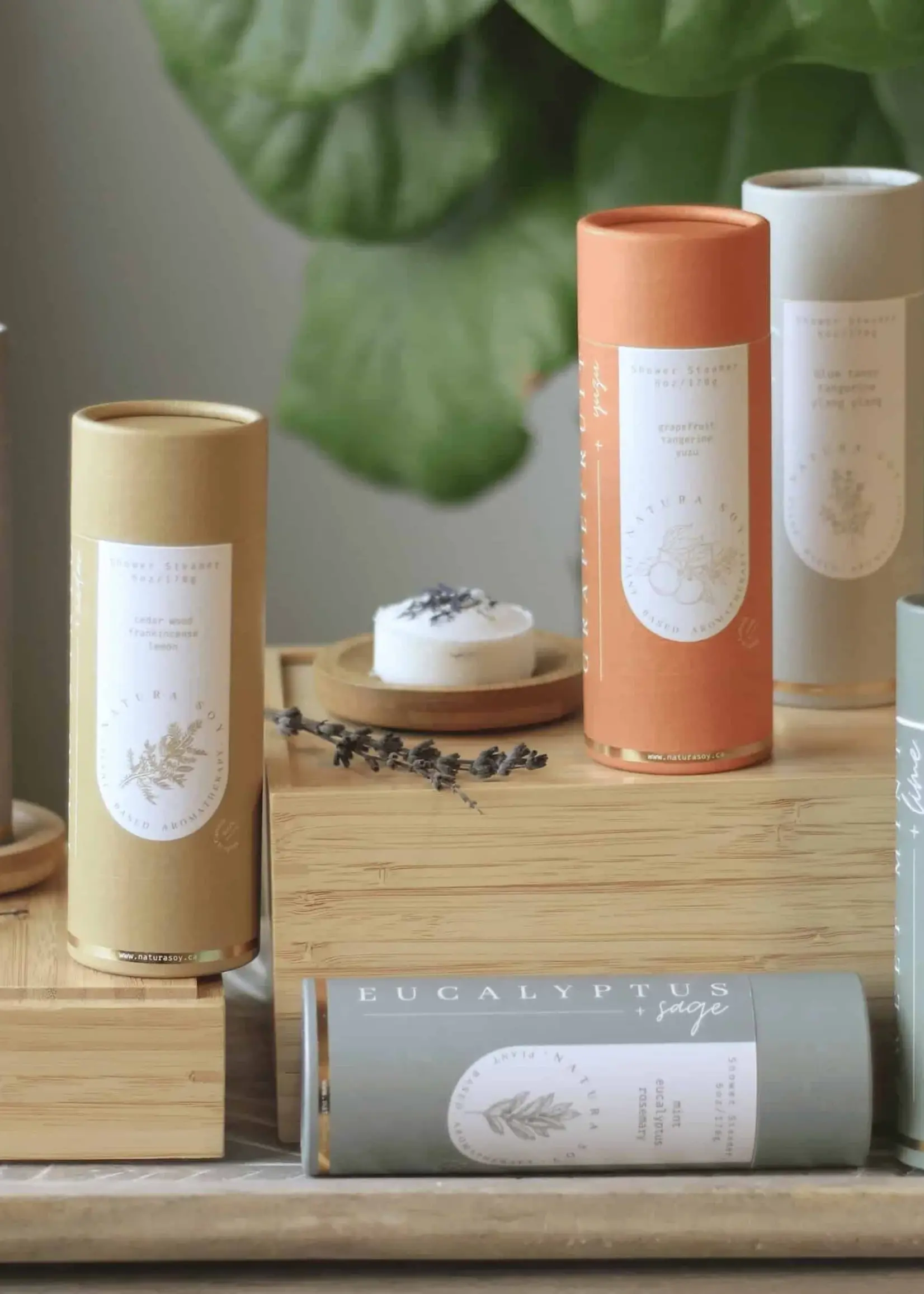 Natura Soy Pastilles de Douche - Palo Santo Cèdre