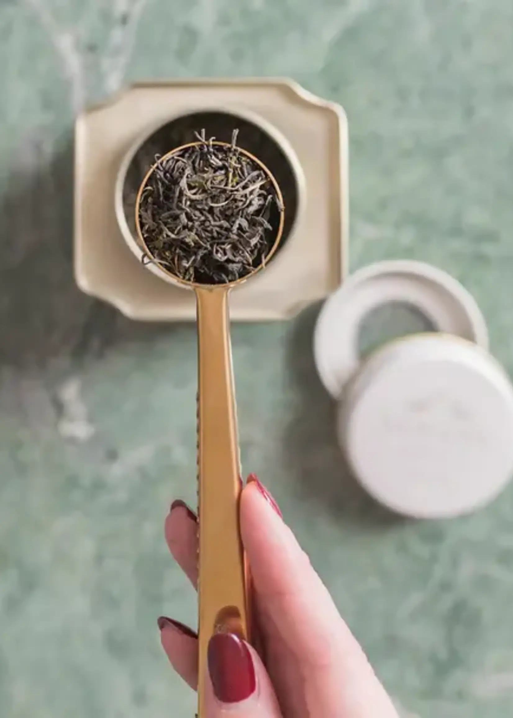 Sloane Tea Signature Caddy - Citron Calm