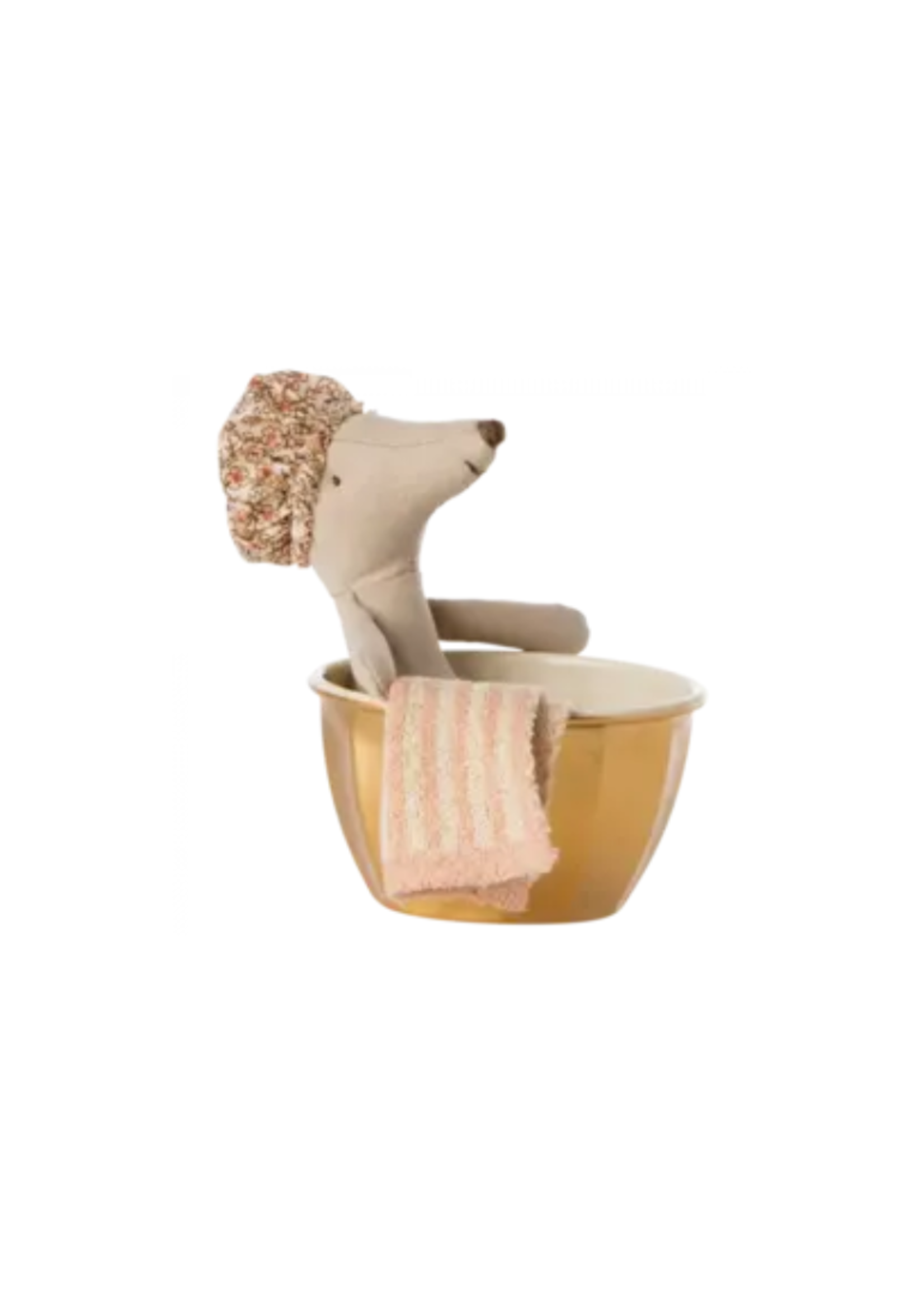 Souris du Bien-être, Grande Sœur