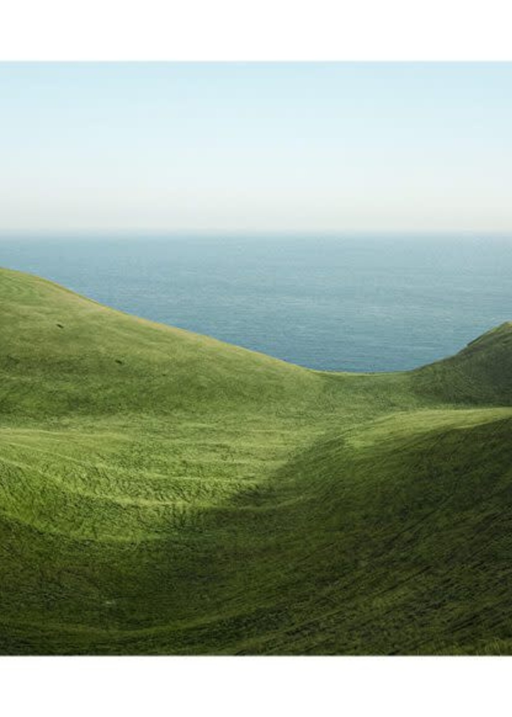 Dorset - Lee Burnett