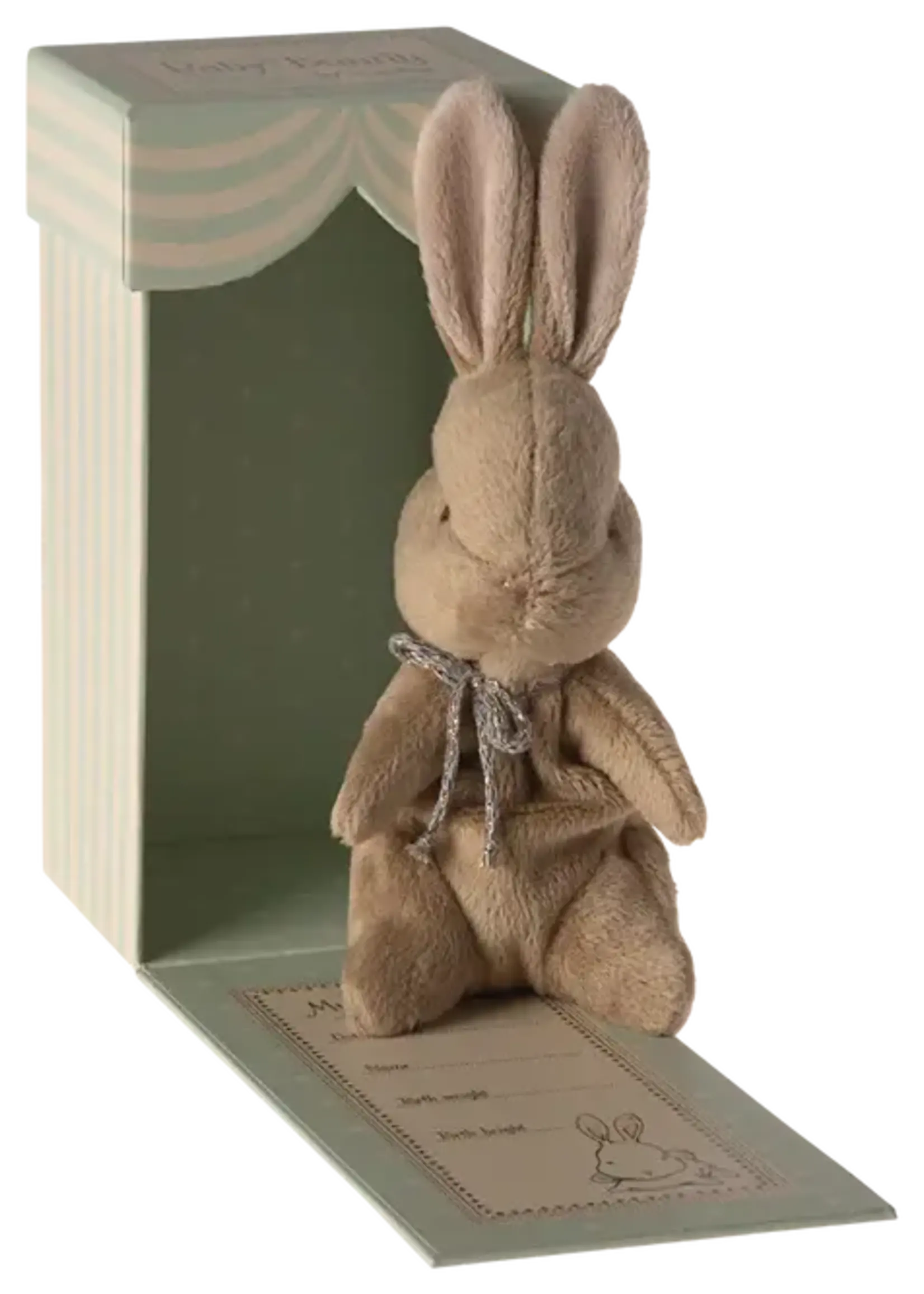 Mon Premier Lapin - Marron