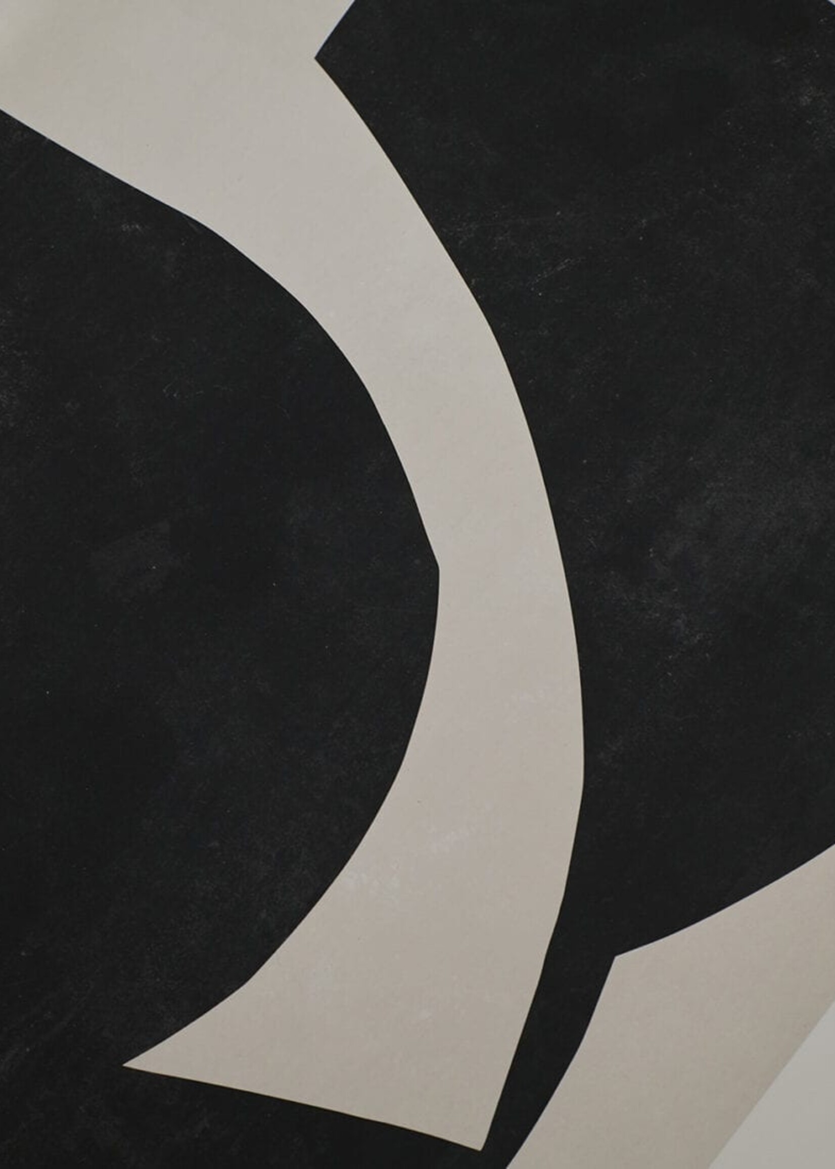 Shells - Moe Made It