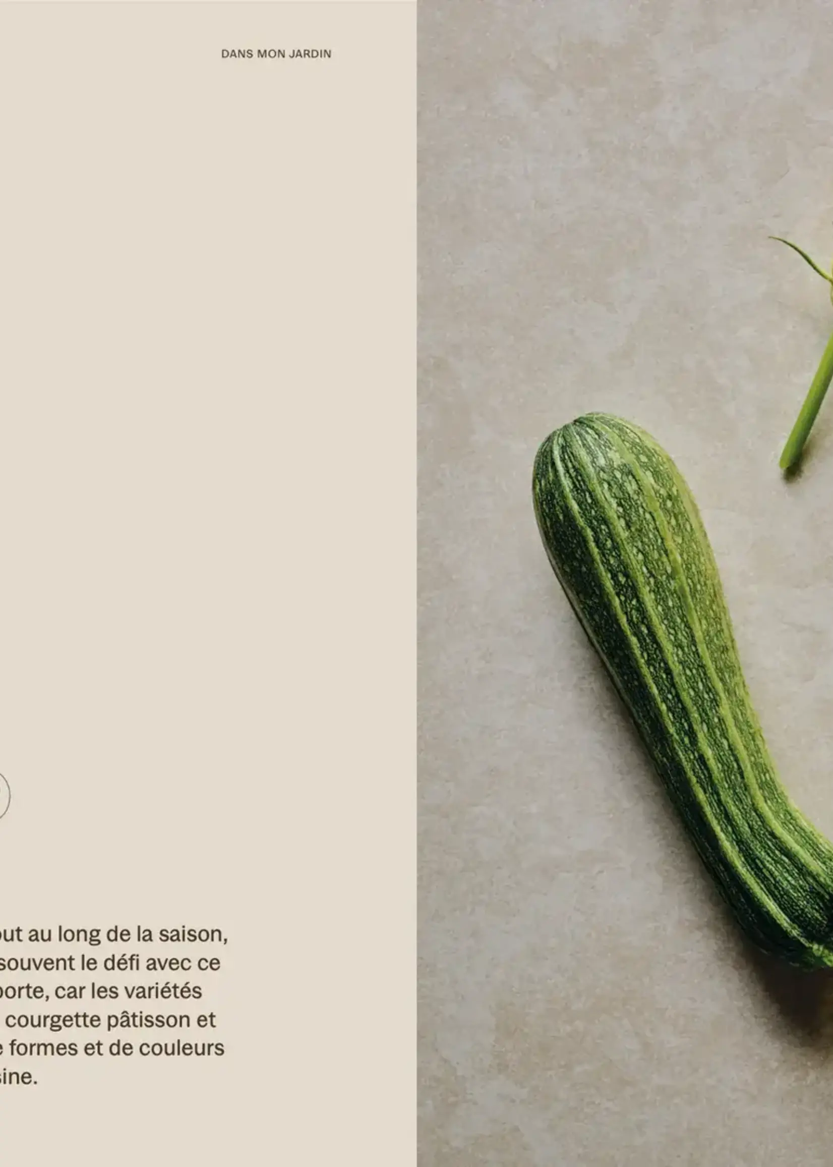 Éditions Cardinal Dans mon Jardin